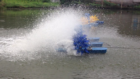 養魚池エアレーターのレイアウトを決定するもの